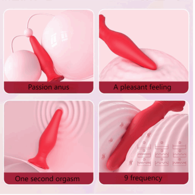 Butt Plugs Three-piece suit (Vibration+Remote control)