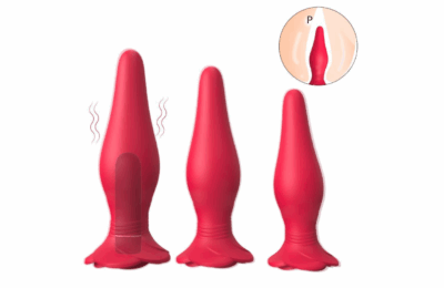 Butt Plugs Three-piece suit (Vibration+Remote control)