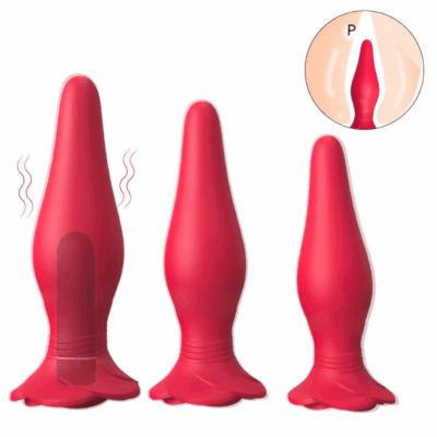 Butt Plugs Three-piece suit (Vibration+Remote control)