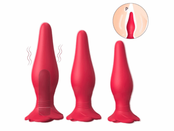 Butt Plugs Three-piece suit (Vibration+Remote control)